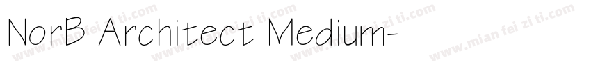NorB Architect Medium字体转换